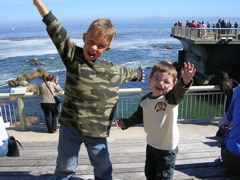 Monterey Bay Aquarium