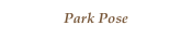 Park Pose
