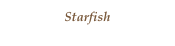 Starfish