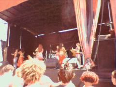 Belly Dancers