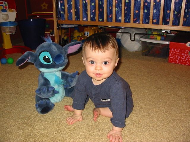 Quinn & Stitch