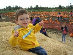 Pumpkin Patch