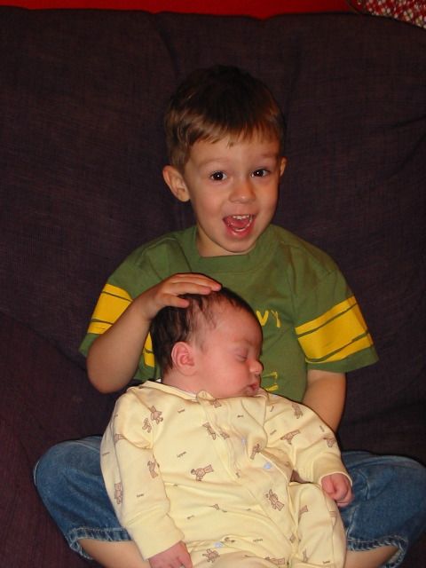 The Proud Brother