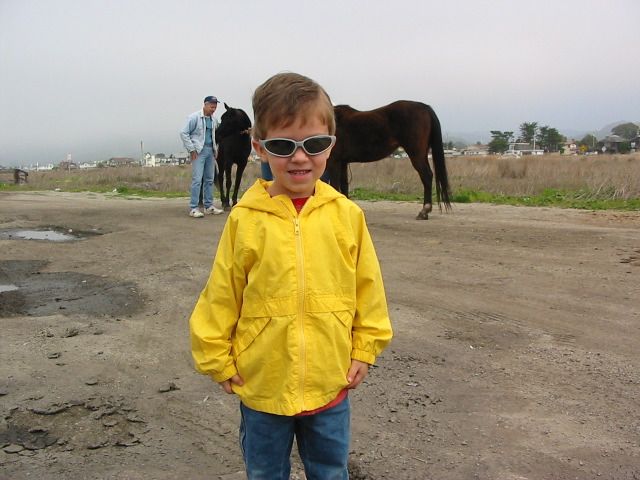 Bodega Bay Boy