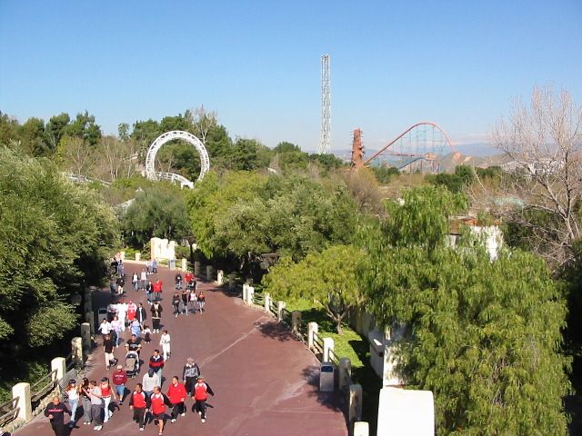 Magic Mountain