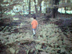 Is that a Yeti?