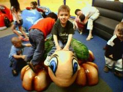 Ride the Turtle